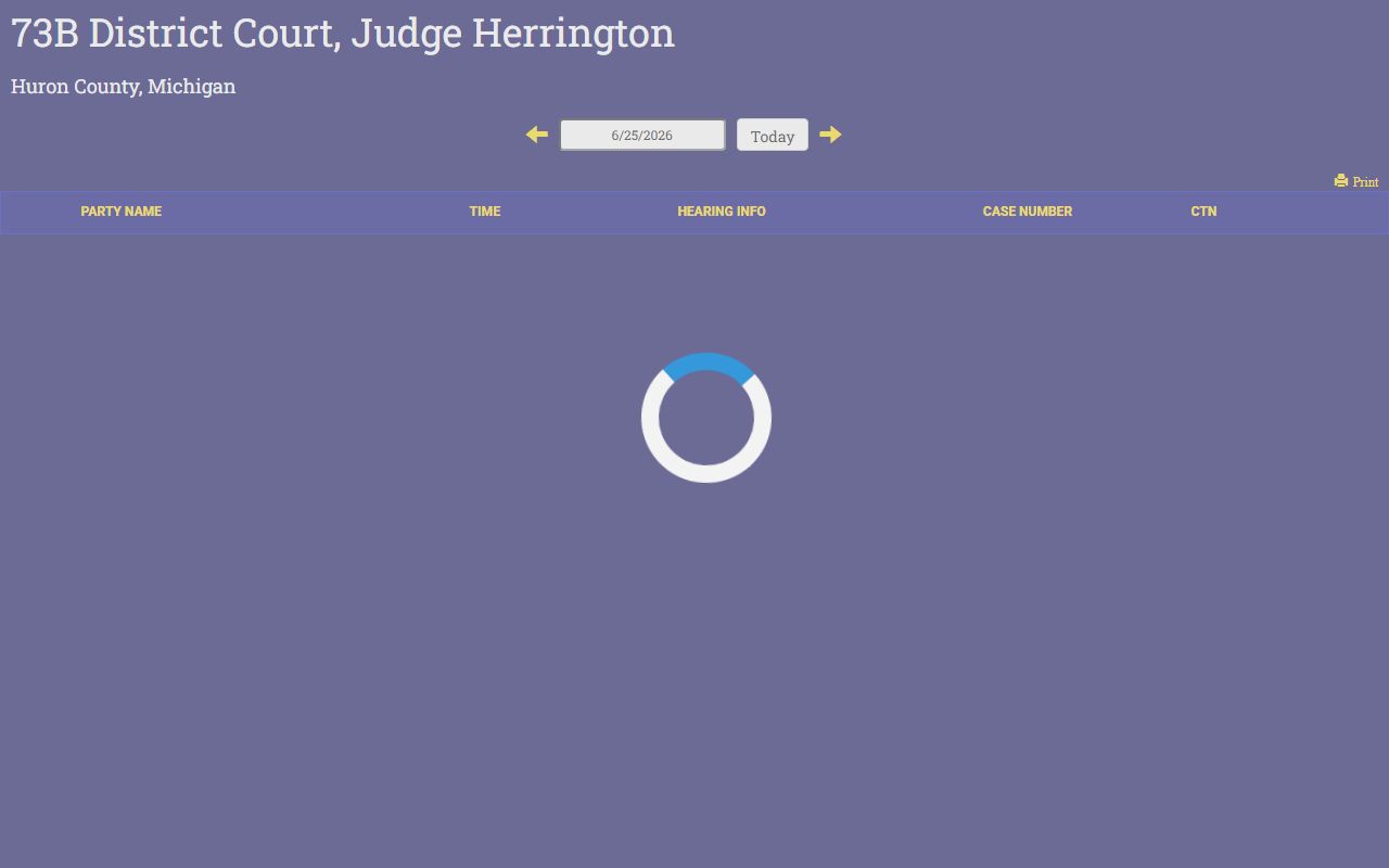 Huron County traffic court records shown on the district court public docket display